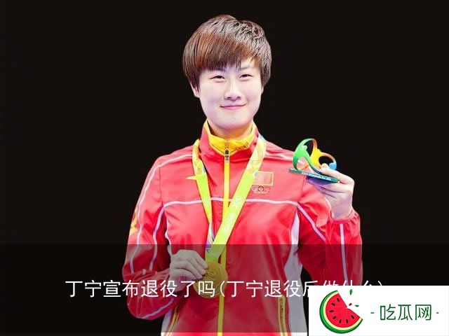 糖心vlog免费软件：丁宁宣布退役了吗(丁宁退役后做什么)